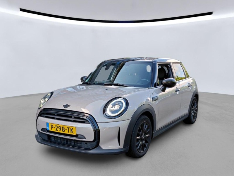 Mini Mini